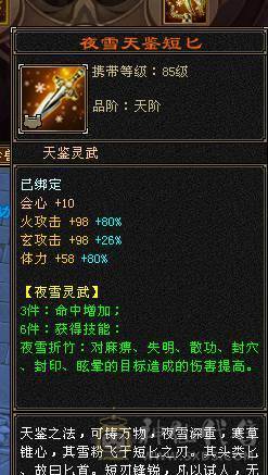 无敌丹 极限6满6减 满10雕文  新雕文6级 火减能到1035 双坐骑的6神号