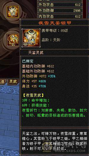无敌丹 极限6满6减 满10雕文  新雕文6级 火减能到1035 双坐骑的6神号