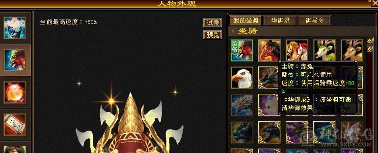 无敌丹 极限6满6减 满10雕文  新雕文6级 火减能到1035 双坐骑的6神号