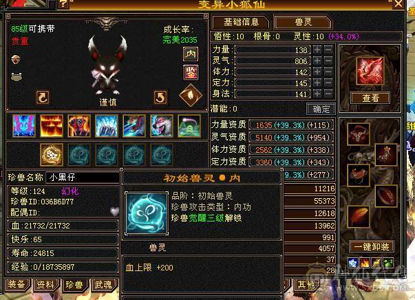 极品五级逍遥 43.6w血 多套永久时装 附体5200+  5w+内功 两套灵武  盟会7级  三只双十宝宝  坐骑永久熊