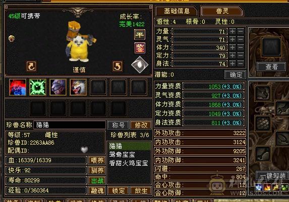 卡49丐帮6级号