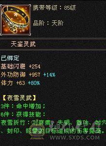 换号！加上逍遥状态有400会心，暴击嘎嘎的