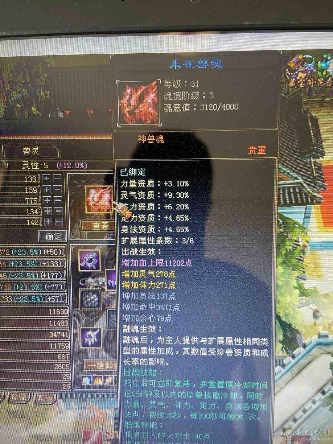 5级帅气明教一口价秒