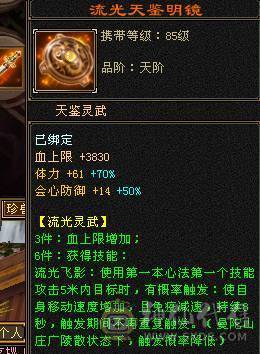 能抗能打带骨翼