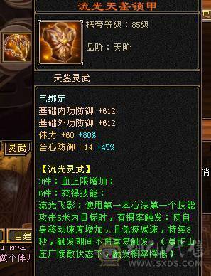 能抗能打带骨翼