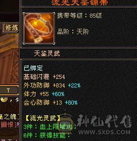 能抗能打带骨翼