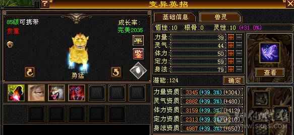 能抗能打带骨翼