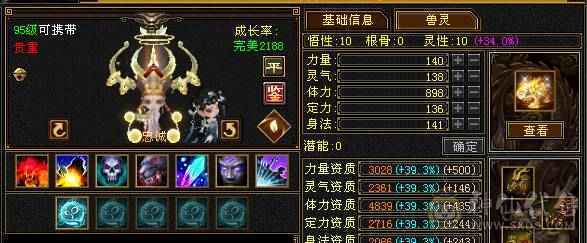 能抗能打带骨翼
