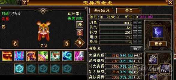 能抗能打带骨翼