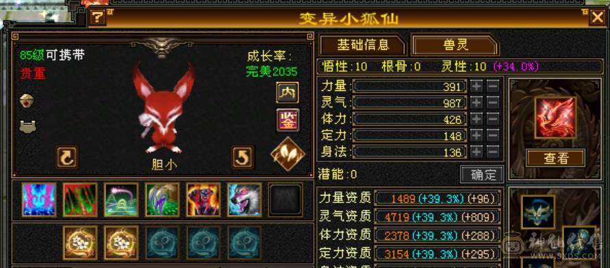 5级双修暴力逍遥 5400属 38万血 总属性7000 9级神农 9级玉食客 三满 6荒 4神 带所有低价出