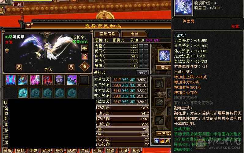 满5带6  极品输出号