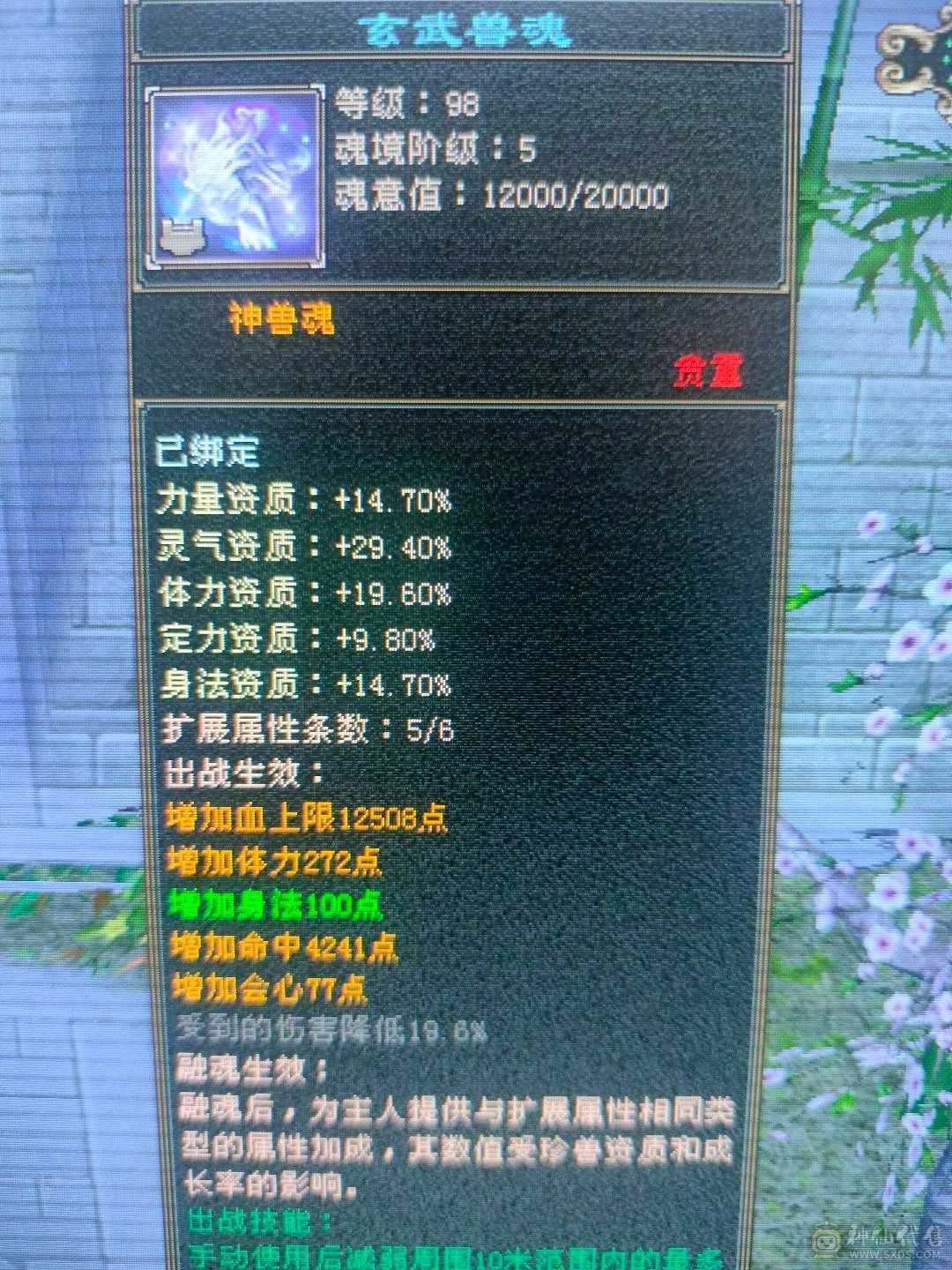 多修无敌丹星宿