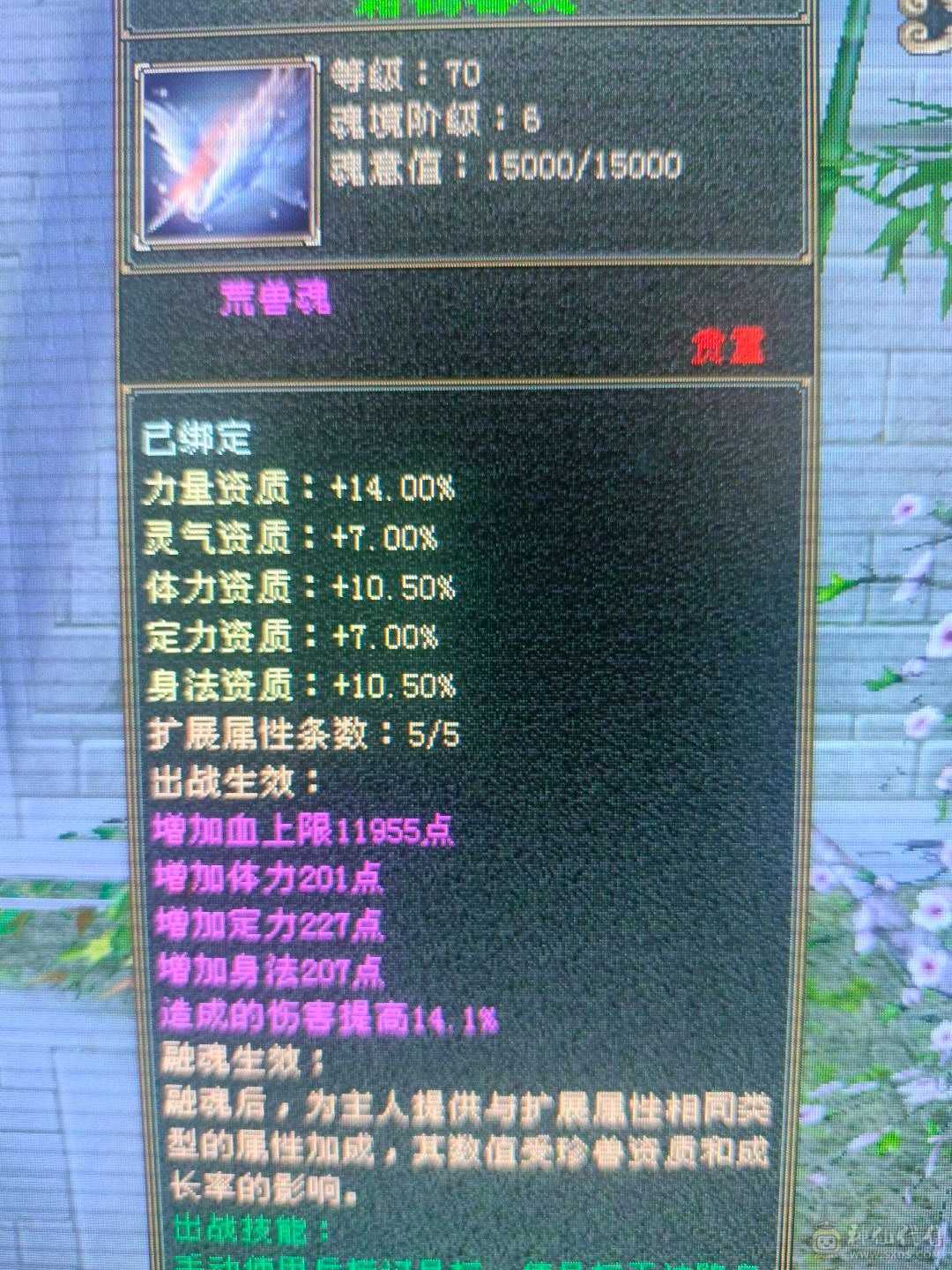 多修无敌丹星宿