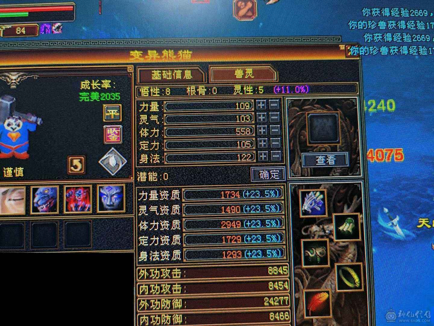 面板已更新，完美武魂主属性、下限满级，上线就能打
