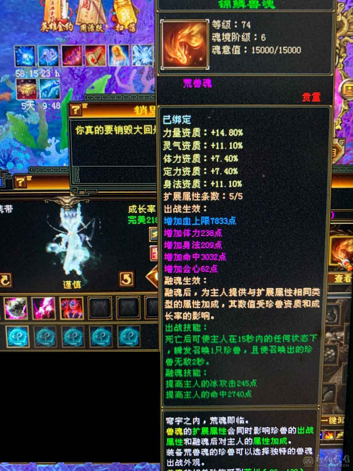 看到的都带