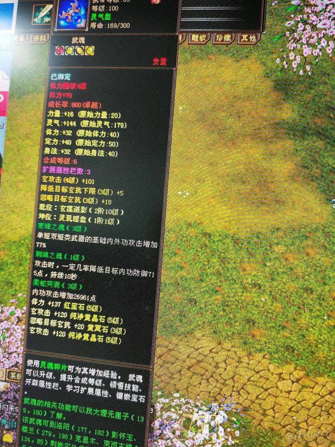 饺子仓库号经济实惠