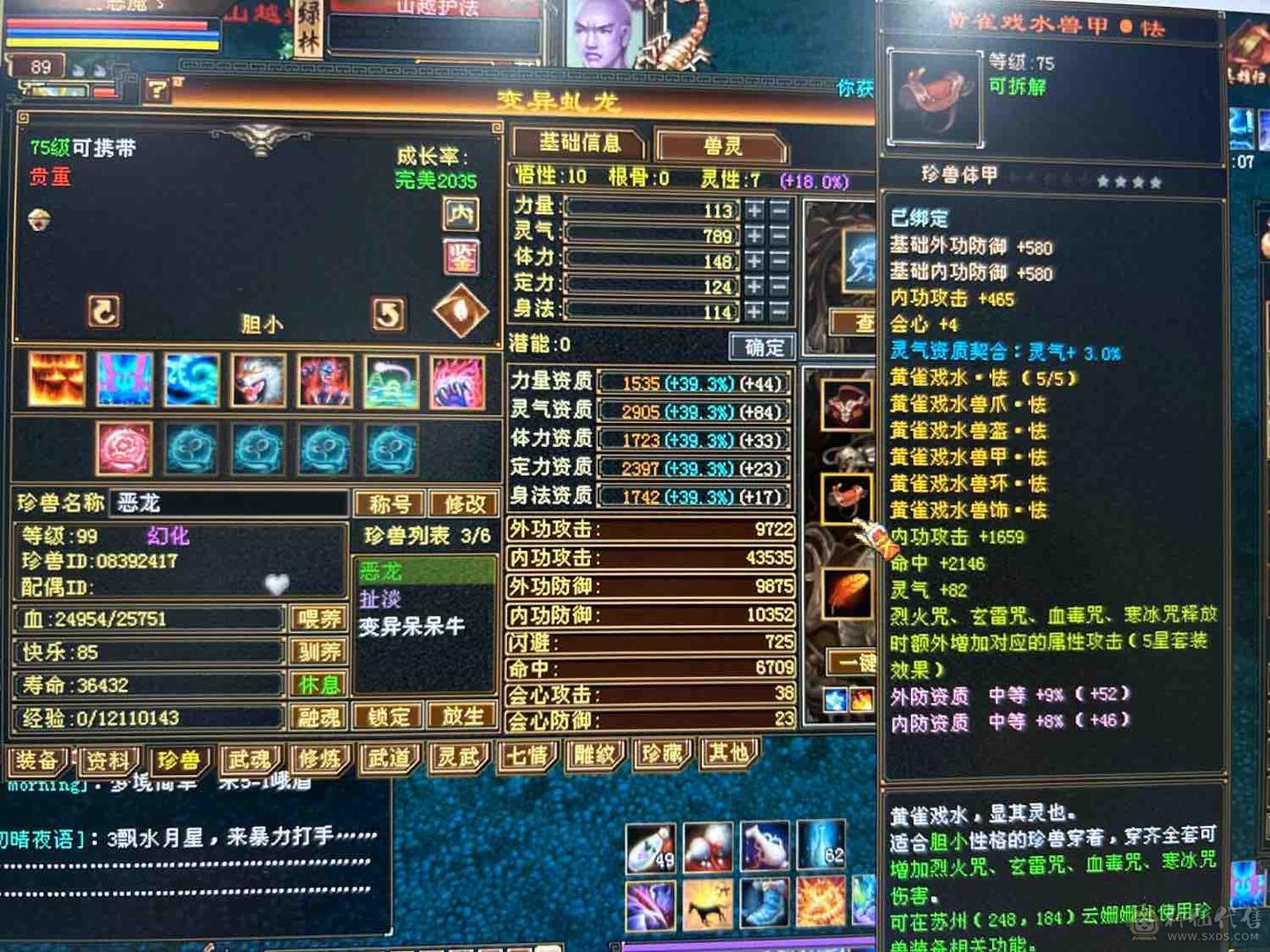 新门派
