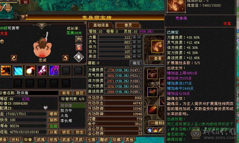 卡级气武当，12.5W气，承伤38W，8星装备，完美武魂，带宝宝出