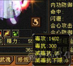6体6属，满8雕纹6精绘，大八星装备，高血量暴力逍遥，放大贼准，9级盟会
