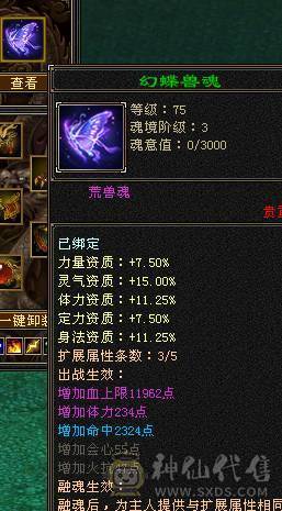 余生推荐用心打造的5神极品小天山高命中会心血量