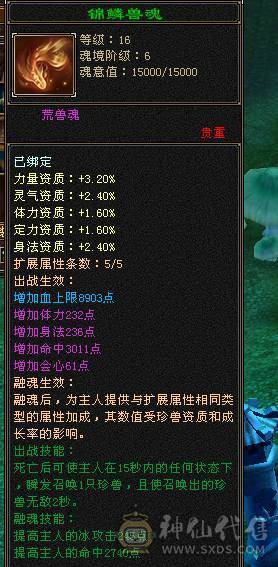 余生推荐用心打造的5神极品小天山高命中会心血量