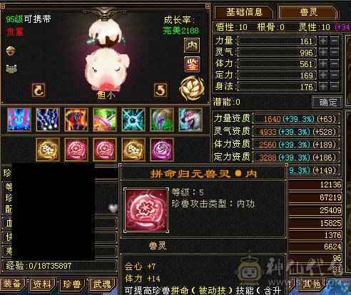 极限6 6减 6神 