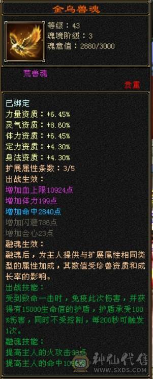 极品号自己看
