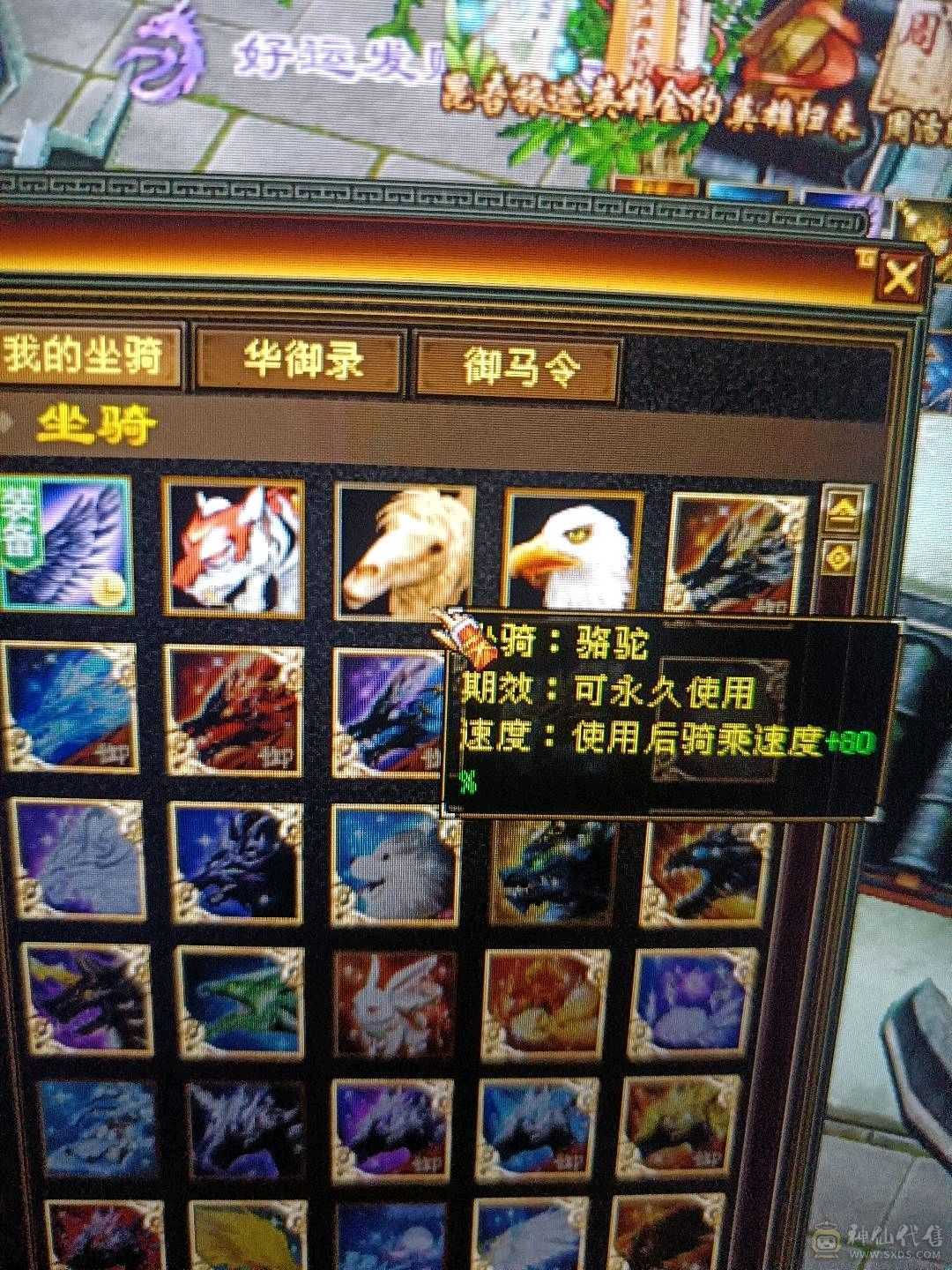 高会心高会防4抗极品少林 便宜出带5600元宝