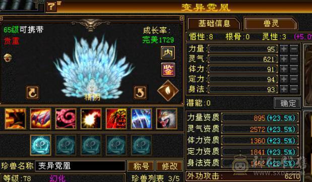 帅气5级小天龙