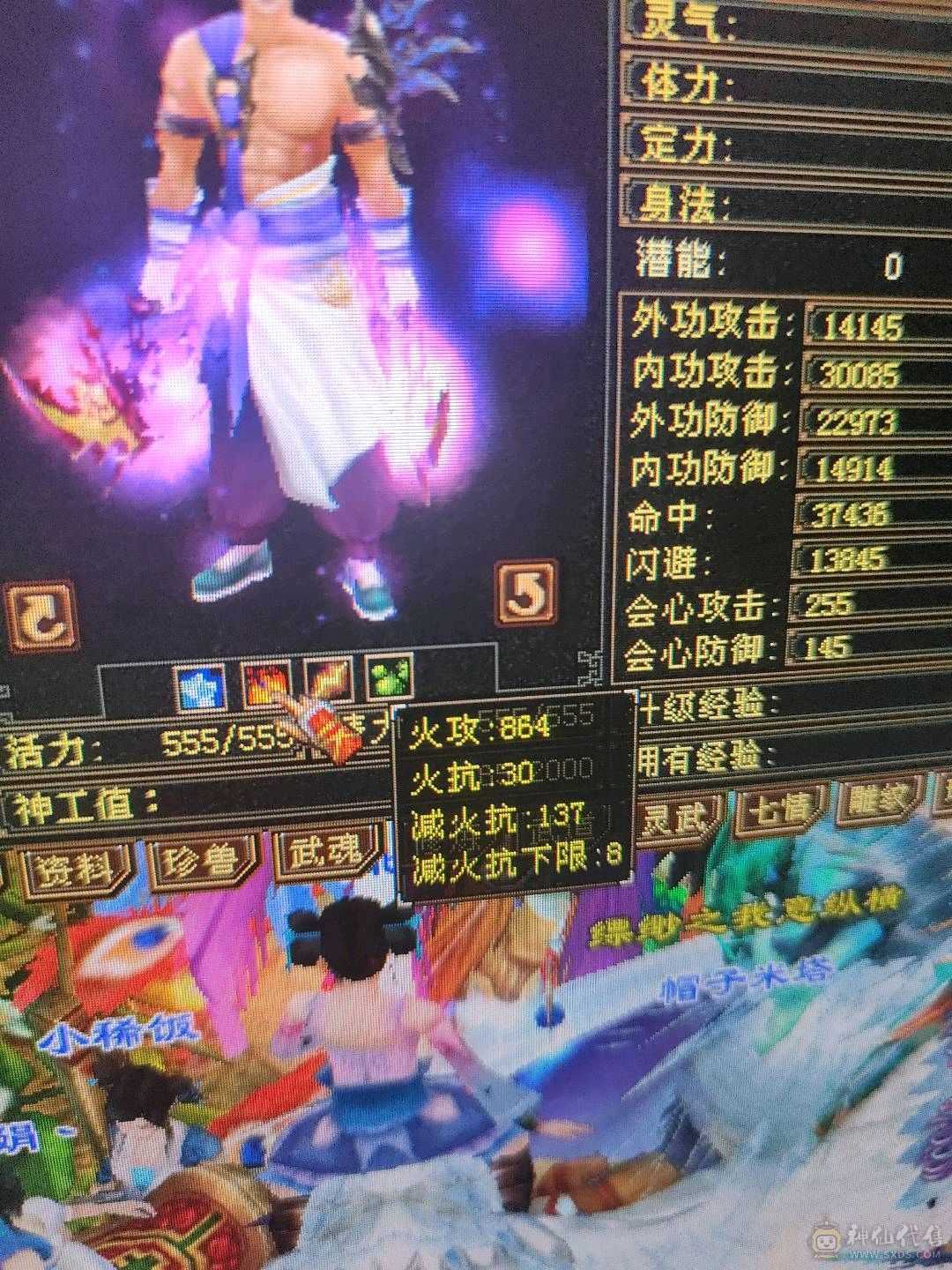 特价一天4级暴力逍遥火毒双攻带双十三高牛附体 高命中高会心 兽魂已洗好