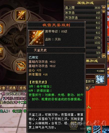 双排6属天山