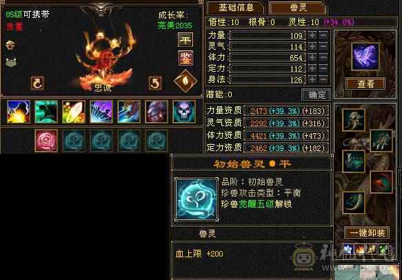 真正的极限满5号，没一颗4级石头