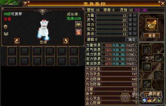 真正的极限满5号，没一颗4级石头