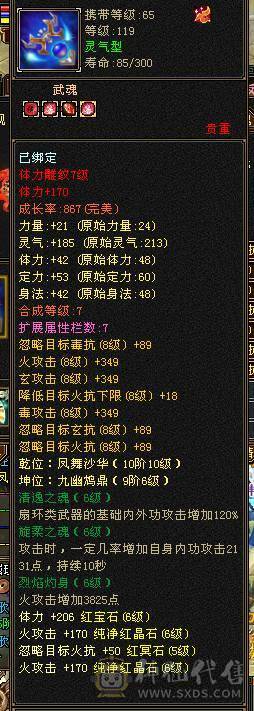 6级三修逍遥！5神 细节面板体力点 身法点6W多命中 带超多宝宝不带宝宝另谈价，