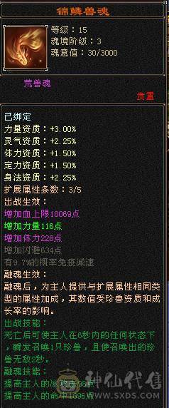 6带7天龙   买到就是赚到 