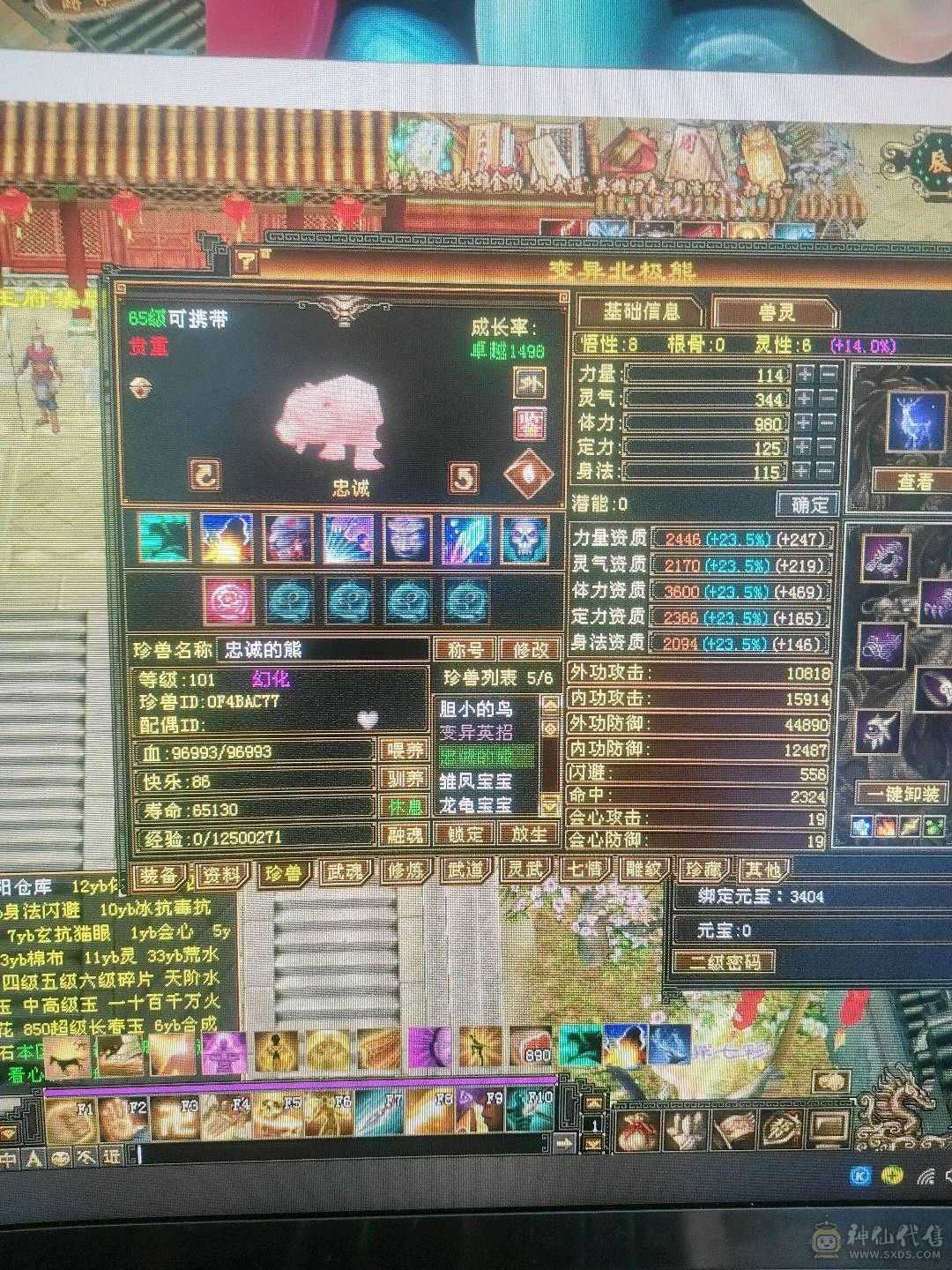 极品多抗  副本站撸  擂台无敌