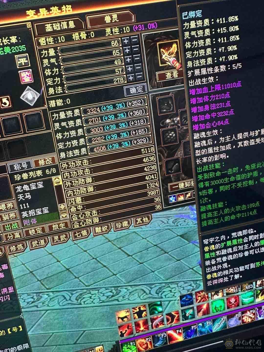图片全自己看