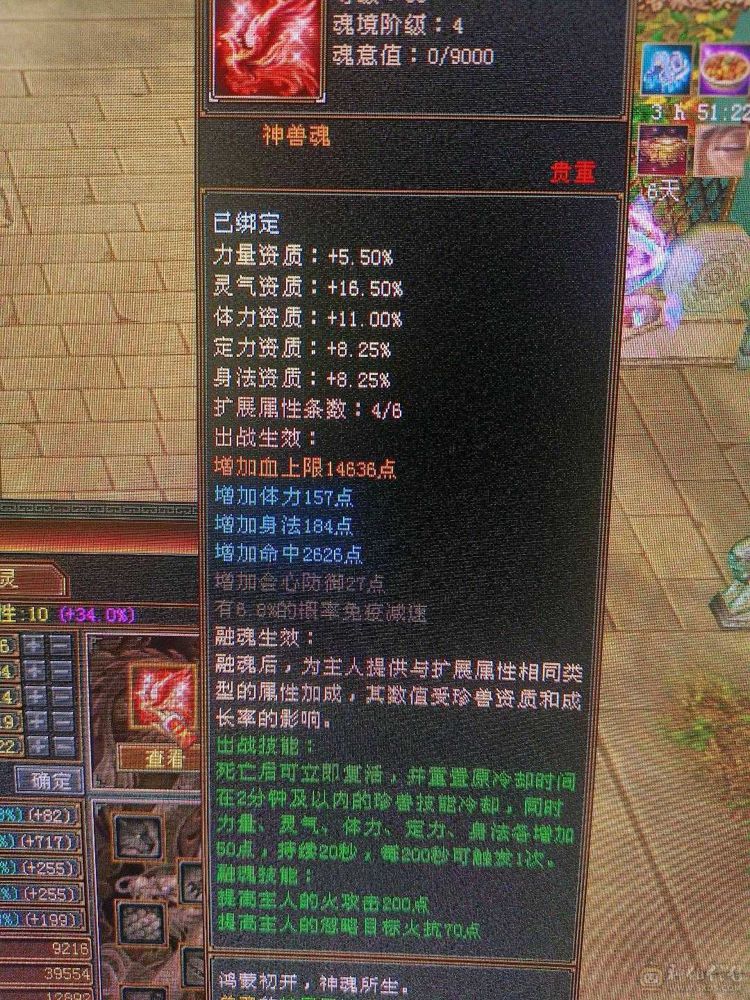 6体6属4神5慌 3修伤害高  带所有买到就赚到