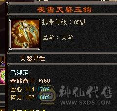 5体5属5命中5闪避7雕文