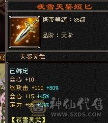 5体5属5命中5闪避7雕文