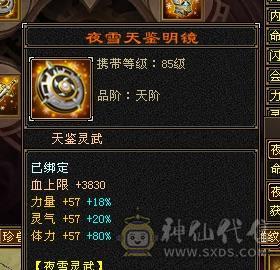 5体5属5命中5闪避7雕文
