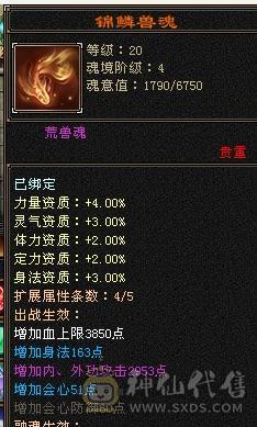 5体5属5命中5闪避7雕文