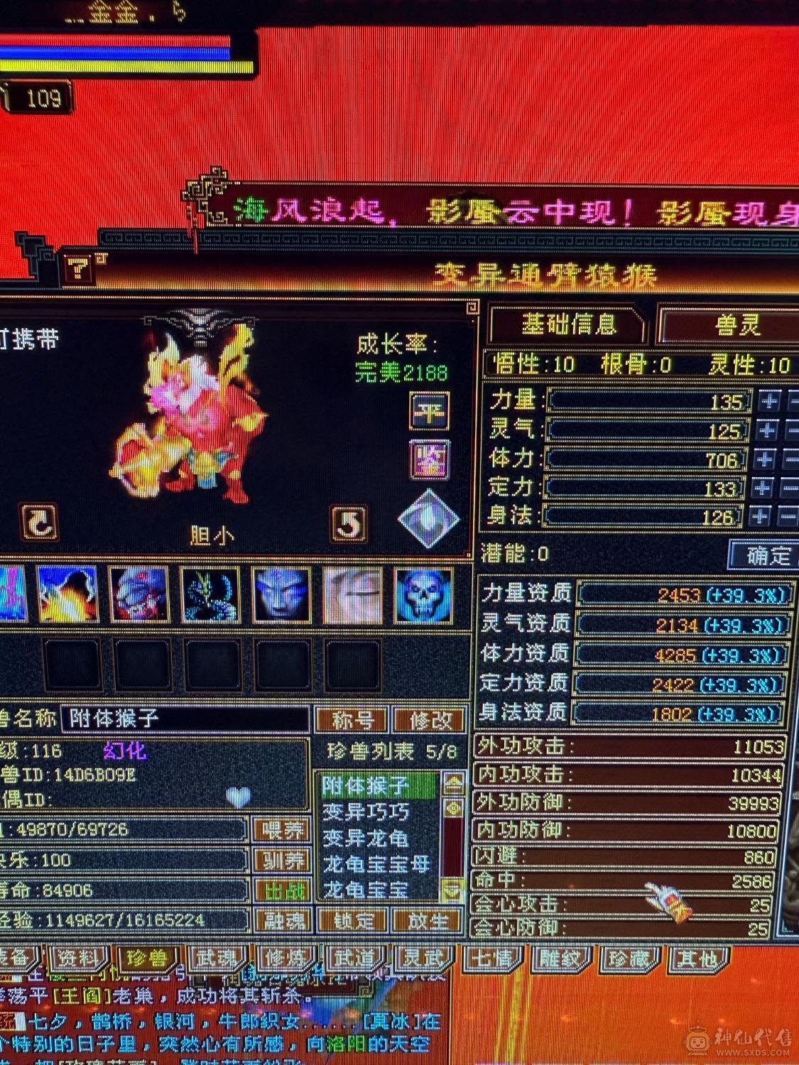 真：满5,7雕，带双十体力附体，持续更新