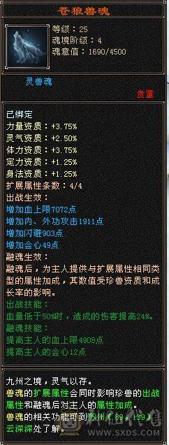 极限满4带5，装备无需更换，上手既玩，29万血，3500火属性，高减抗，秒杀一些四级和伪五级号