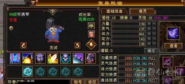 6666天山