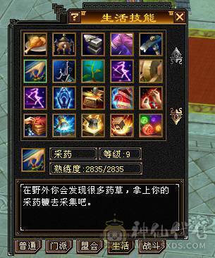  全5女逍遥带时装永久坐骑熊10级矿9级药
