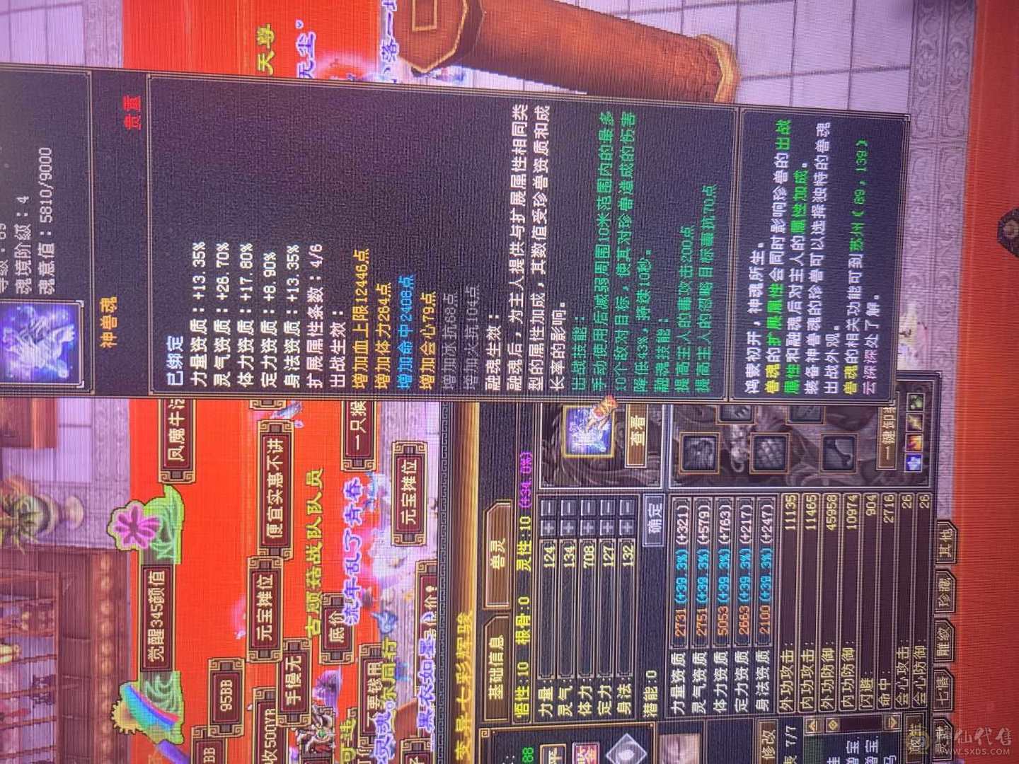 极限5