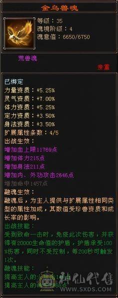 精品三修能抗能打能花瓶
