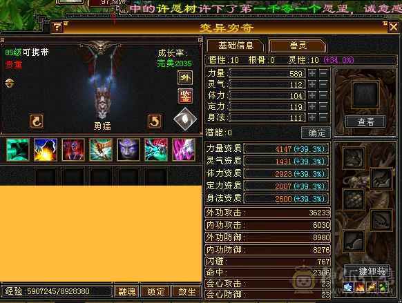 持续更新中