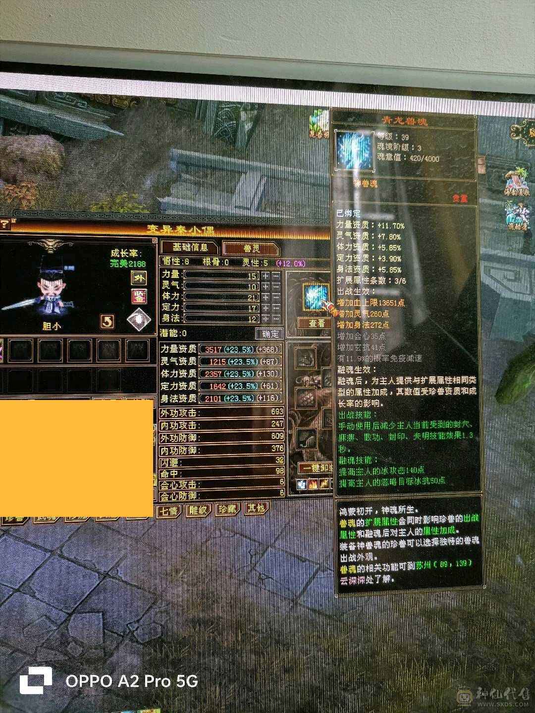 嘎嘎帅嘎嘎猛